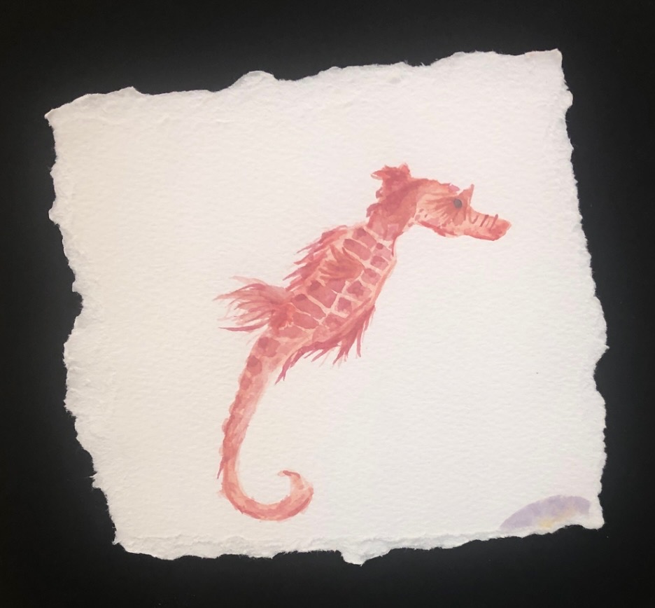 Coral Seahorse watercolor painting